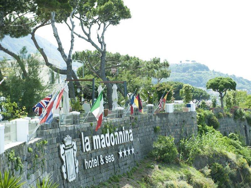 Hotel La Madonnina Casamicciola Terme Dış mekan fotoğraf